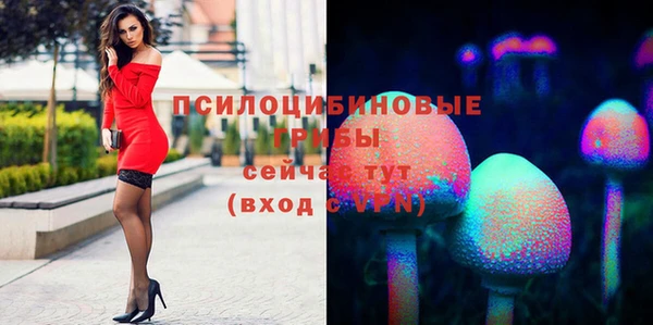 каннабис Гусь-Хрустальный