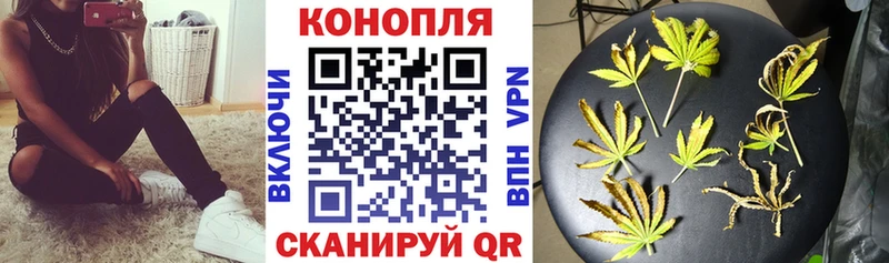 Бошки марихуана Bruce Banner Архангельск